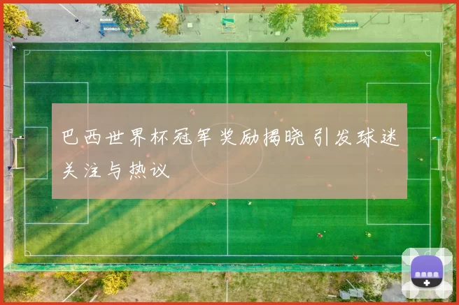 巴西世界杯冠军奖励揭晓 引发球迷关注与热议