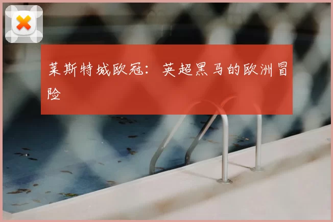 莱斯特城欧冠:英超黑马的欧洲冒险