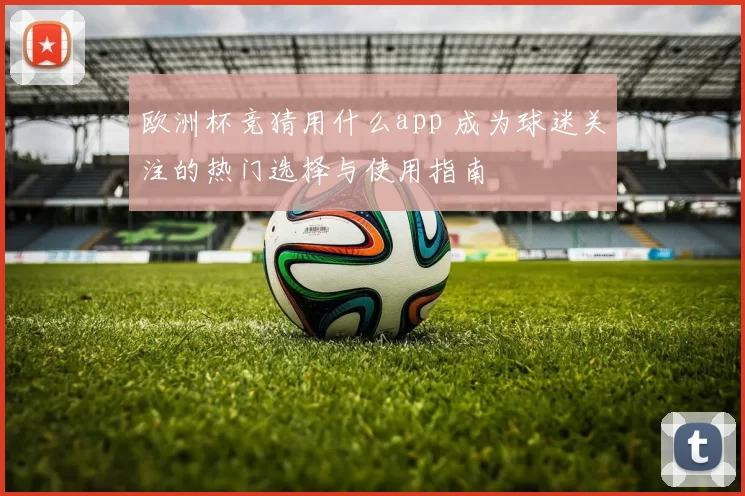 欧洲杯竞猜用什么app 成为球迷关注的热门选择与使用指南