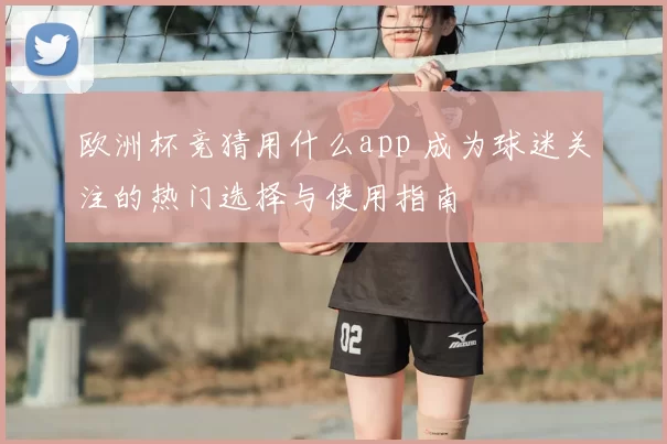 欧洲杯竞猜用什么app 成为球迷关注的热门选择与使用指南