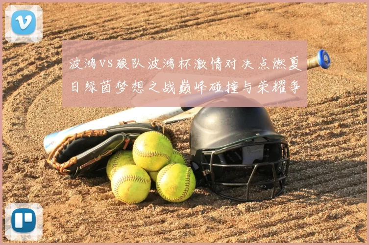 波鸿vs狼队波鸿杯激情对决点燃夏日绿茵梦想之战巅峰碰撞与荣耀争锋