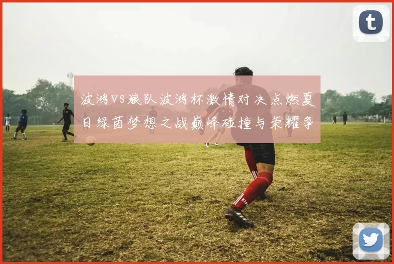 波鸿vs狼队波鸿杯激情对决点燃夏日绿茵梦想之战巅峰碰撞与荣耀争锋