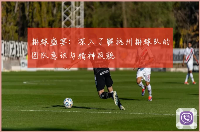 排球盛宴:深入了解杭州排球队的团队意识与精神风貌