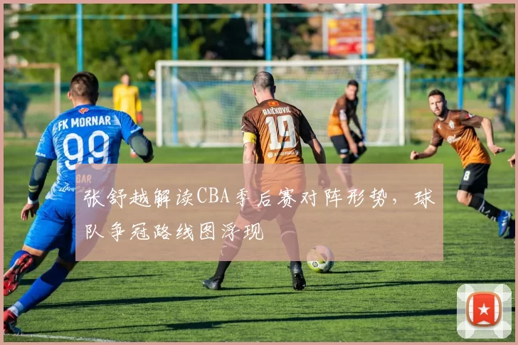 张舒越解读CBA季后赛对阵形势,球队争冠路线图浮现