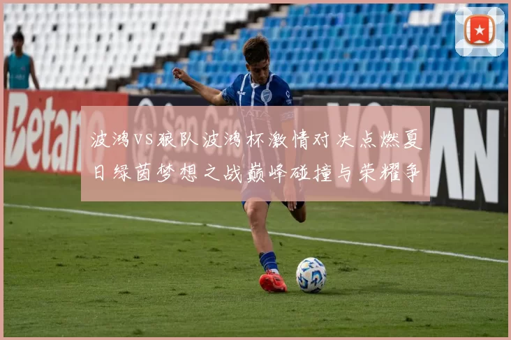 波鸿vs狼队波鸿杯激情对决点燃夏日绿茵梦想之战巅峰碰撞与荣耀争锋