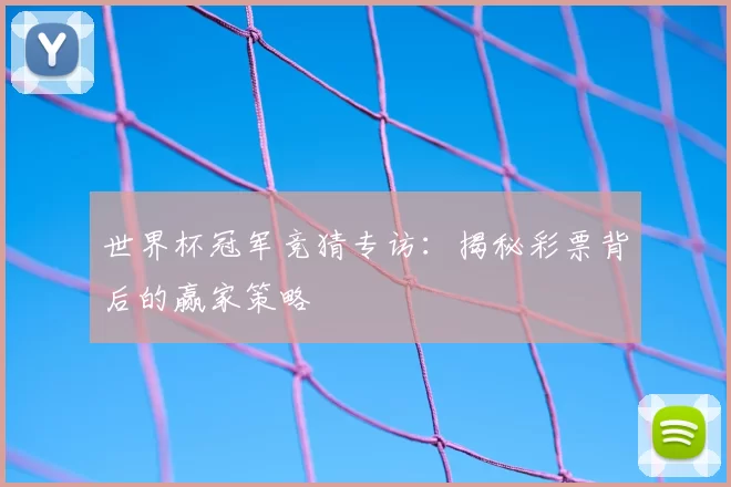 世界杯冠军竞猜专访:揭秘彩票背后的赢家策略