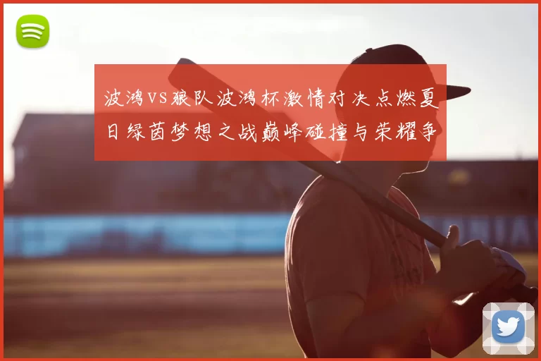 波鸿vs狼队波鸿杯激情对决点燃夏日绿茵梦想之战巅峰碰撞与荣耀争锋