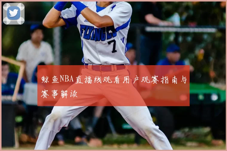 鲸鱼NBA直播线观看用户观赛指南与赛事解读