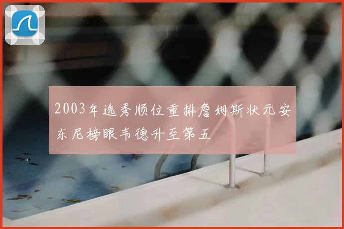2003年选秀顺位重排詹姆斯状元安东尼榜眼韦德升至第五