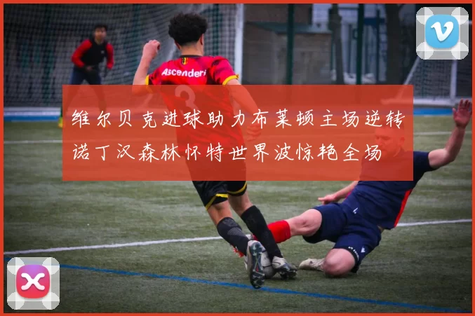 维尔贝克进球助力布莱顿主场逆转诺丁汉森林怀特世界波惊艳全场