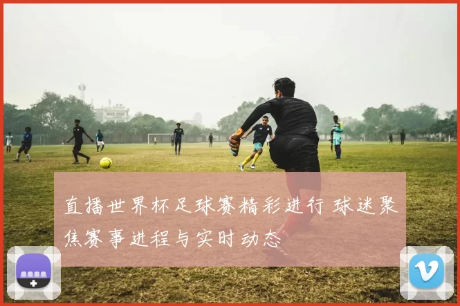 直播世界杯足球赛精彩进行 球迷聚焦赛事进程与实时动态