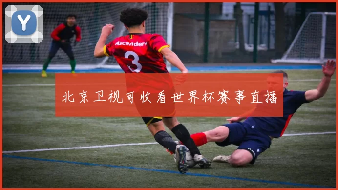 北京卫视可收看世界杯赛事直播
