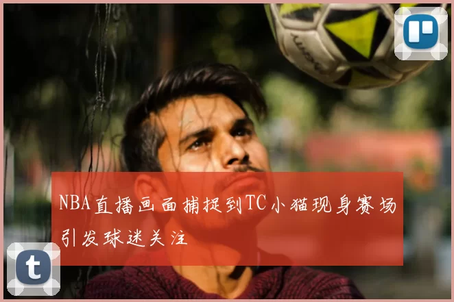 NBA直播画面捕捉到TC小猫现身赛场引发球迷关注
