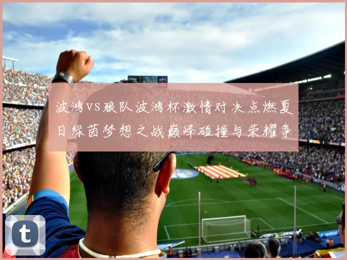 波鸿vs狼队波鸿杯激情对决点燃夏日绿茵梦想之战巅峰碰撞与荣耀争锋